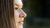 SYNNOVE BRONDBO PLASSEN web